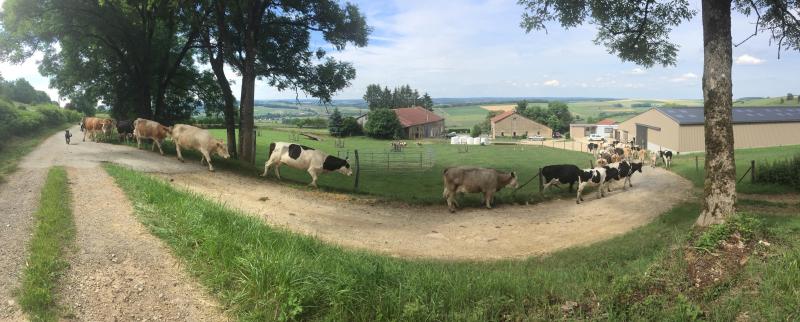 Des produits fermiers à Margut