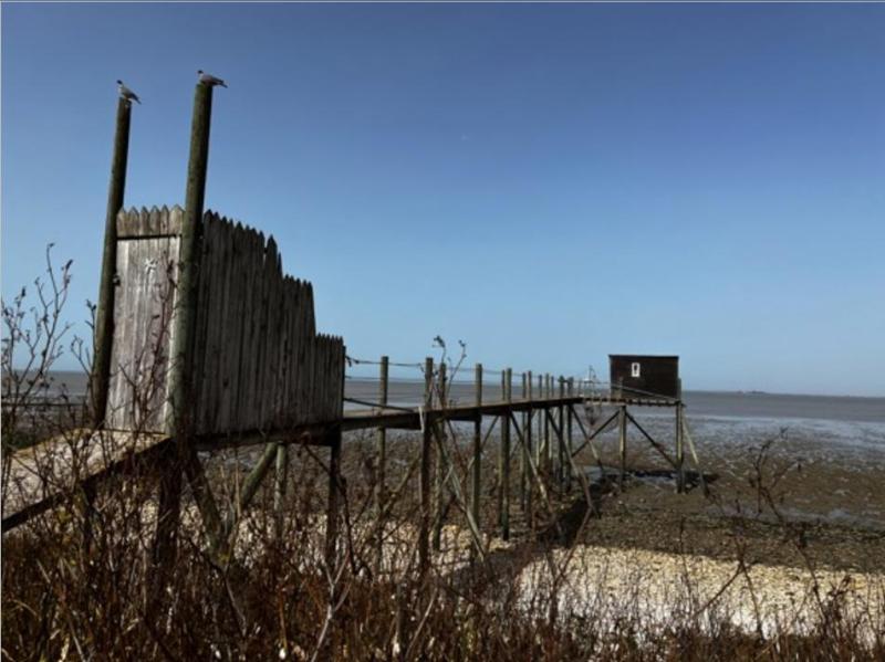 9 - Les carrelets d’Esnandes