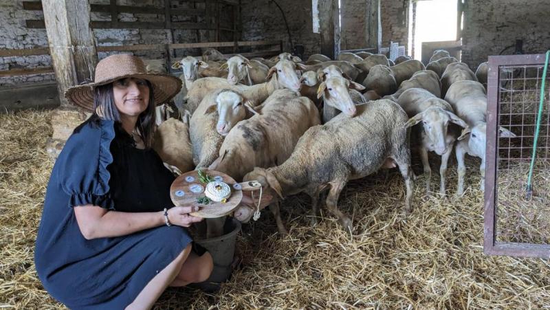 Vanessa transforme son lait de brebis en fromages et cosmétiques à Stonne